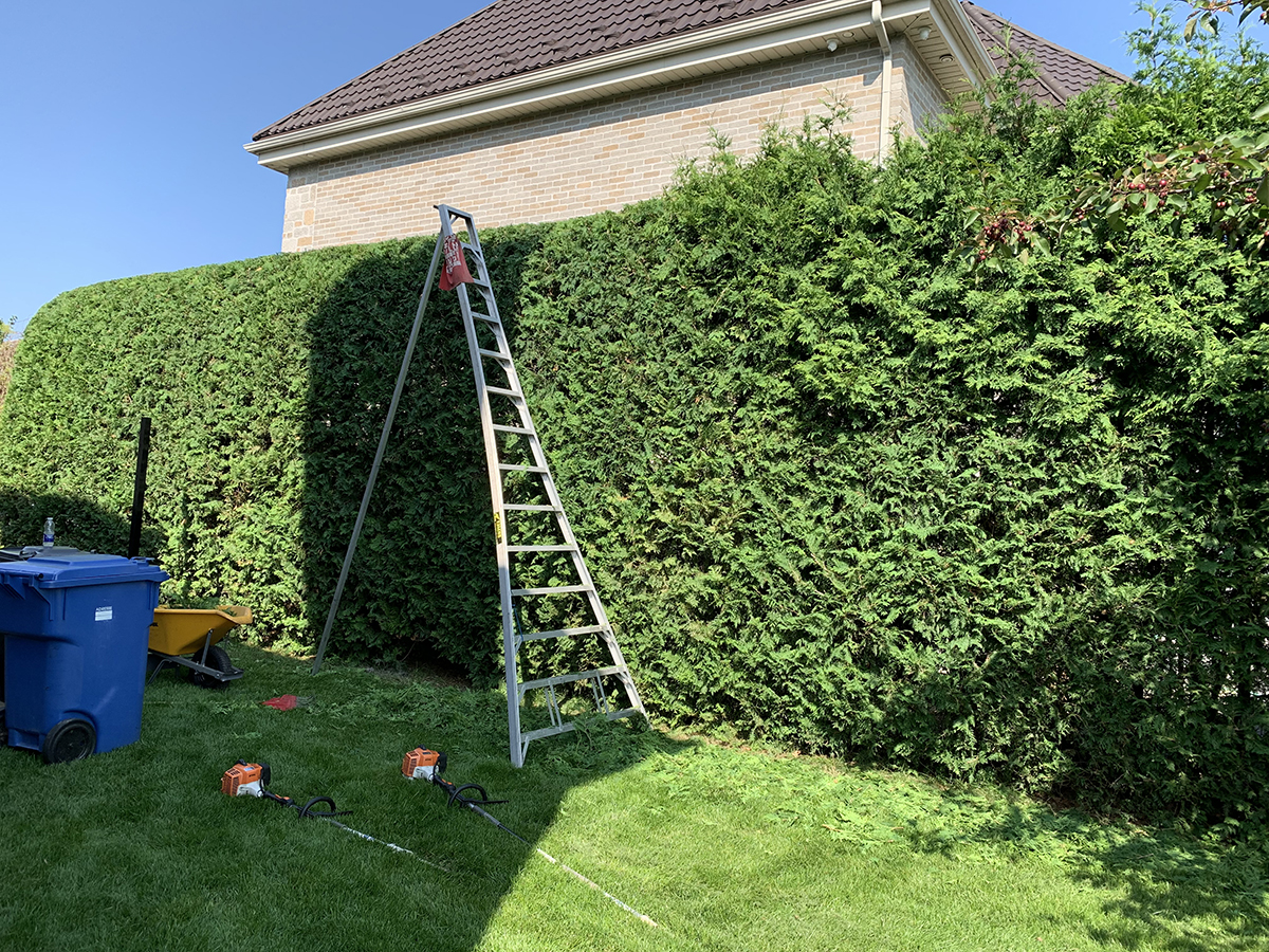 naturhaie_realisation11