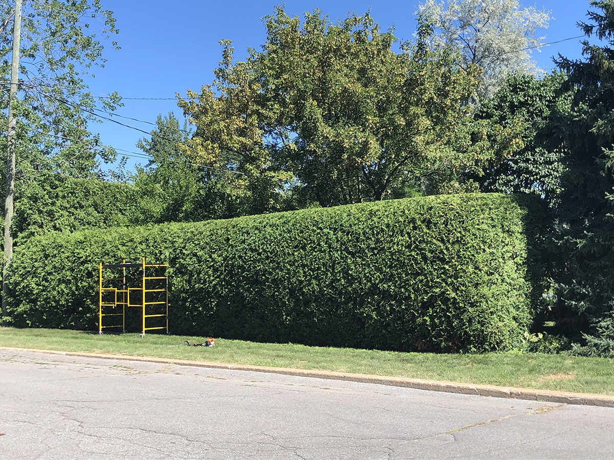 naturhaie_realisation2