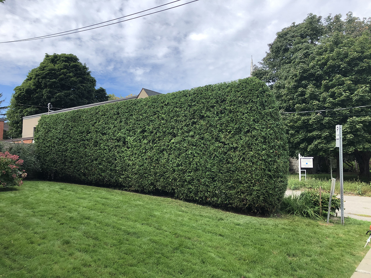 naturhaie_realisation3