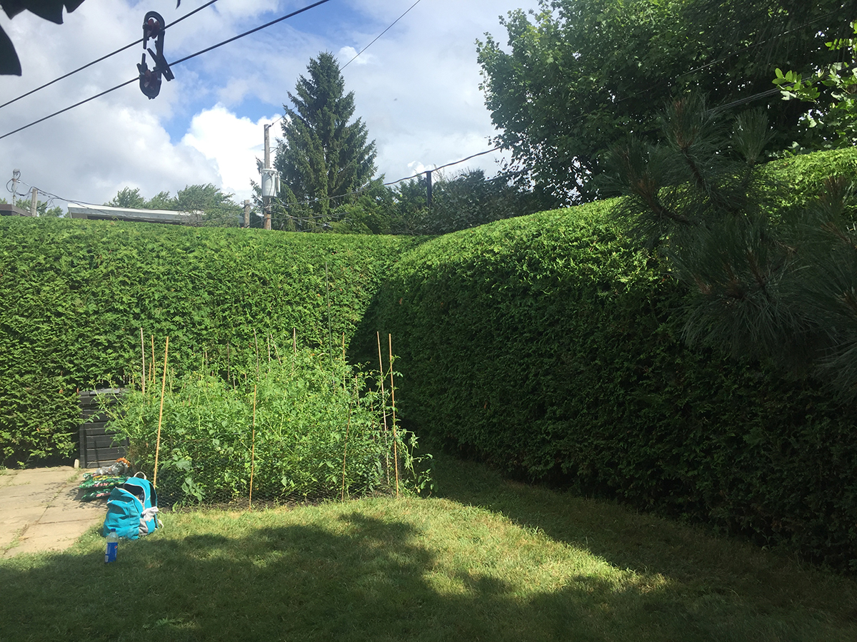 naturhaie_realisation4