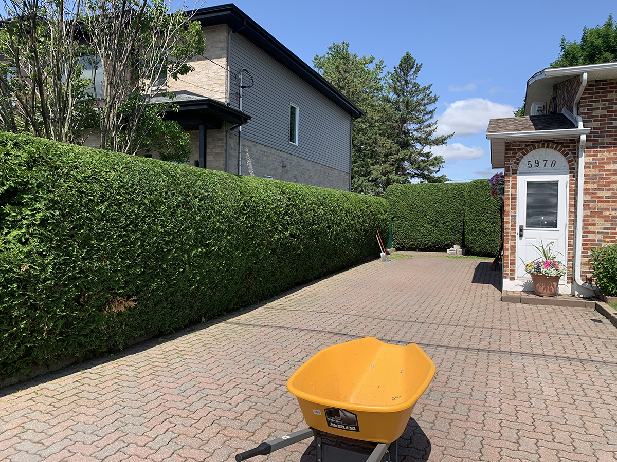 naturhaie_realisation7